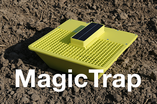 MagicTrap fangbakke der står på jorden